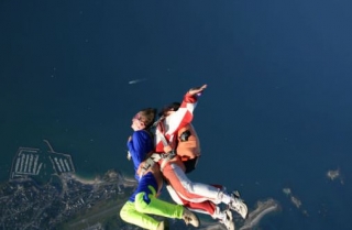  Speed Free fall 